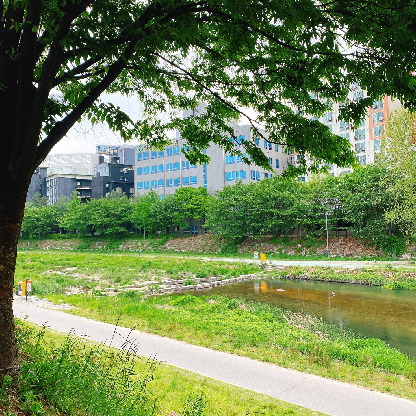 대전 대형베이커리 카페 크로넛 유성공원 에이트 aight