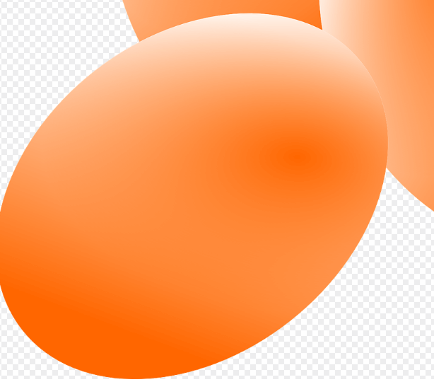 간에 좋은 음식