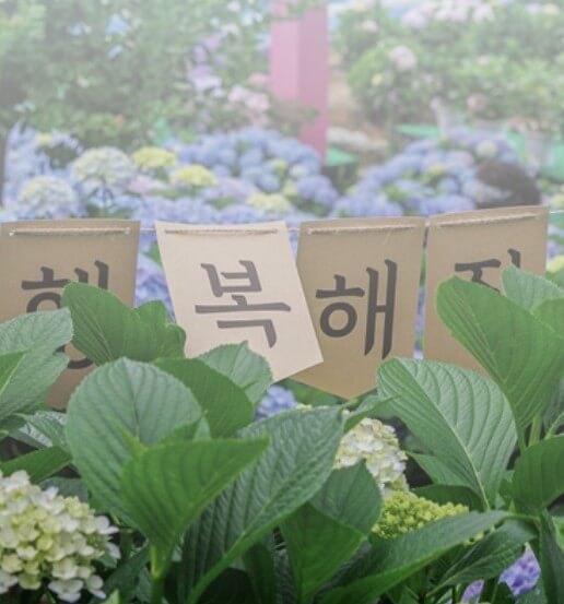 장생포 수국축제