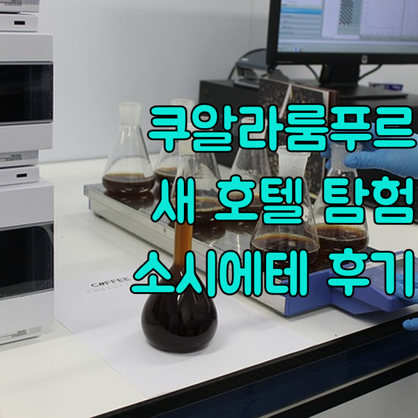 쿠알라룸푸르 숙소 탐험기 2024년