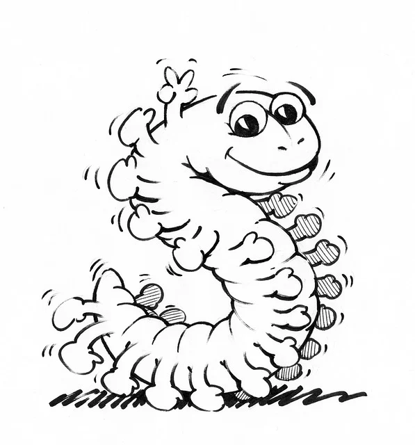 지네 꿈해몽 돈벌레 꿈해몽 벌레꿈해몽 황금지네