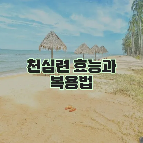 천심련 효능과 복용법, 부작용까지 알아봅시다!