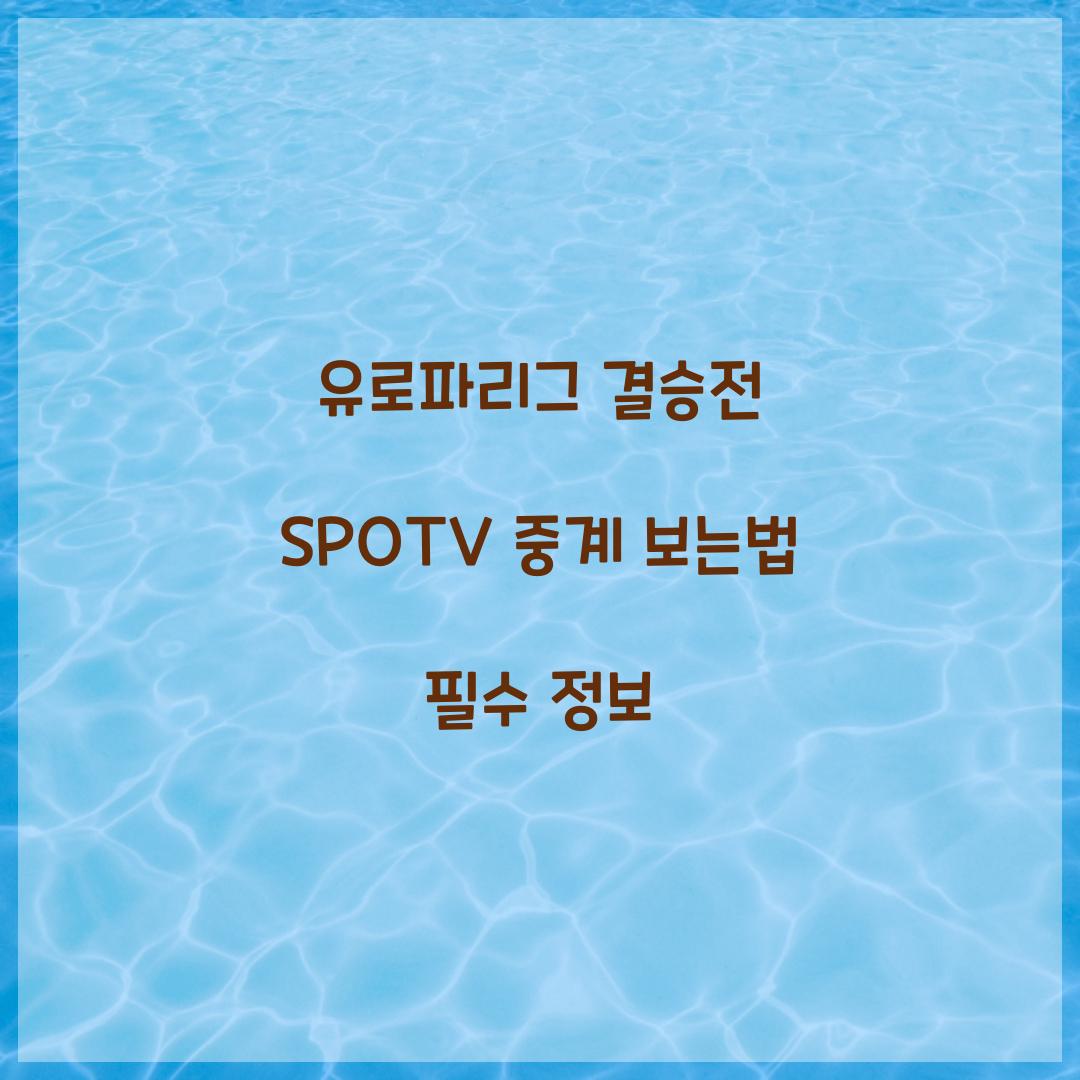 유로파리그 결승전 SPOTV 중계 보는법