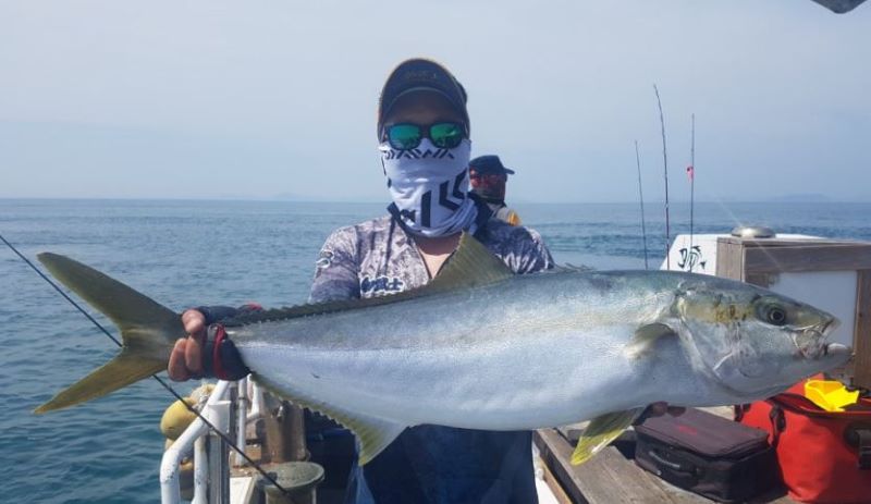 남해 부시리(참치) 배낚시