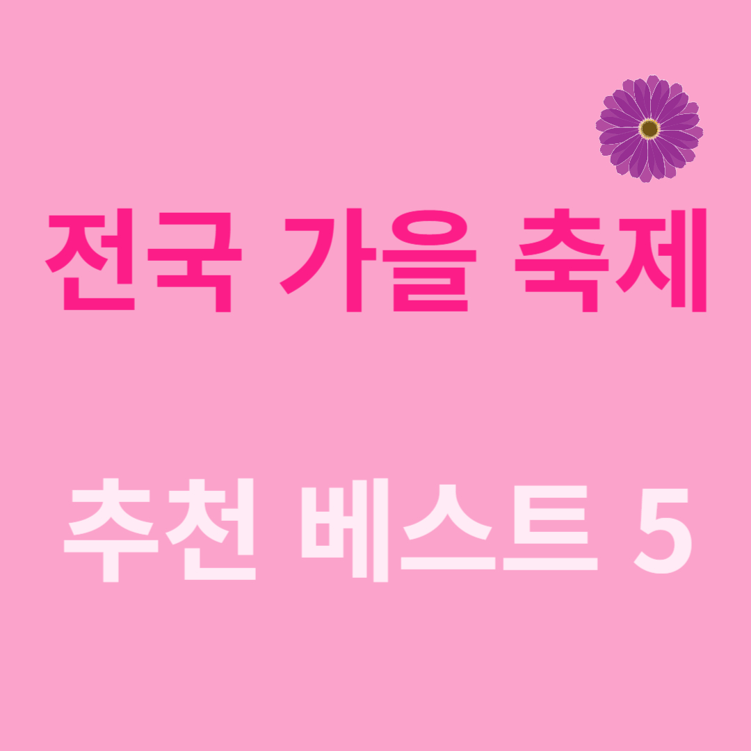 전국 가을 축제 추천
