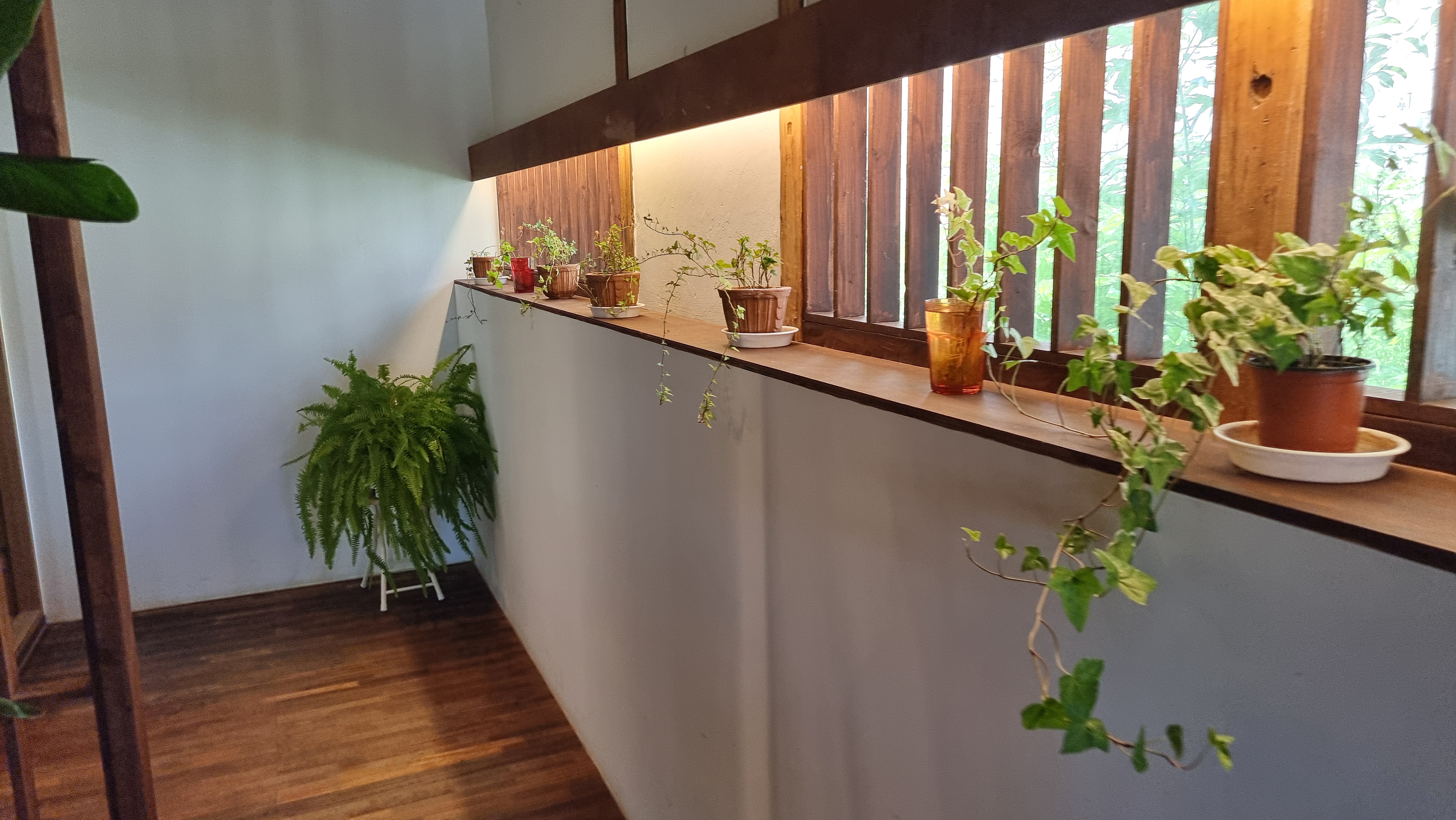 일로 카페 무안 카페 밤편지