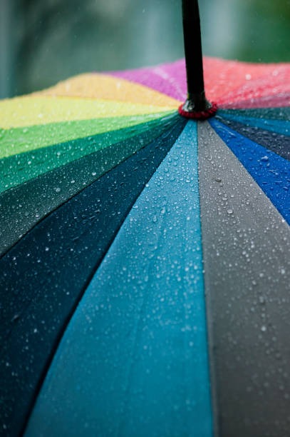 올해-장마철-기간-예상