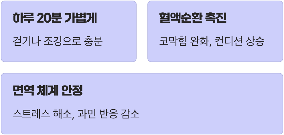 다섯 번째 루틴: 하루 20분, 가볍게 몸을 움직이세요