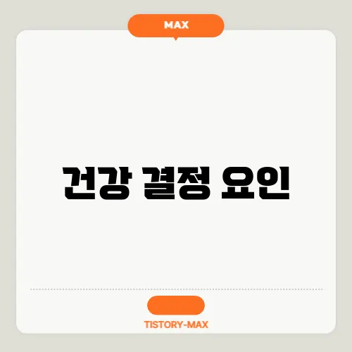 건강 결정 요인
