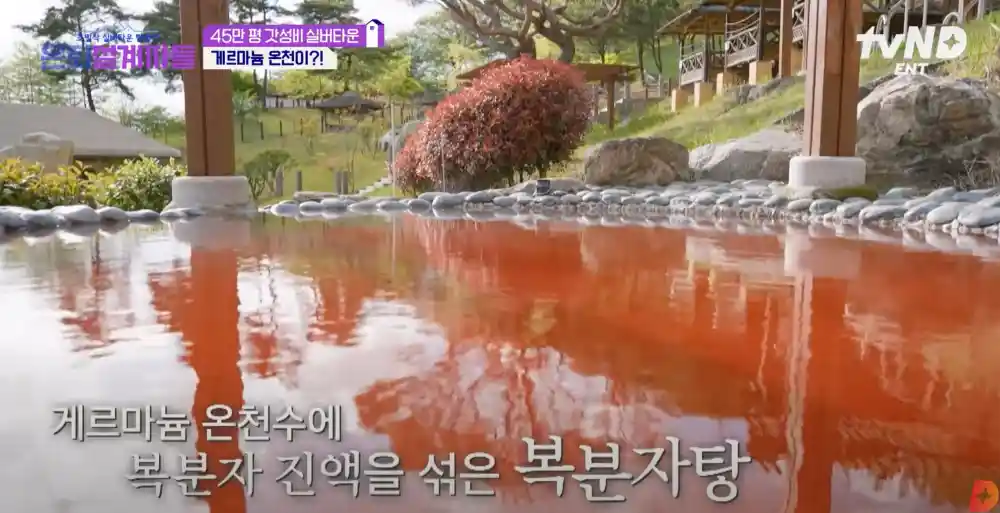 게르마늄 온천 / 실내 스파 / 야외 스파 / 복분자탕