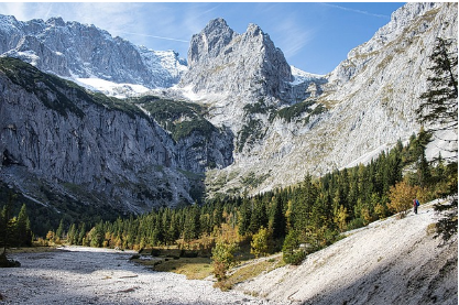 탈모 샴푸1위 탈모 고민 끝! 로게인폼 효과와 후기 집중분석