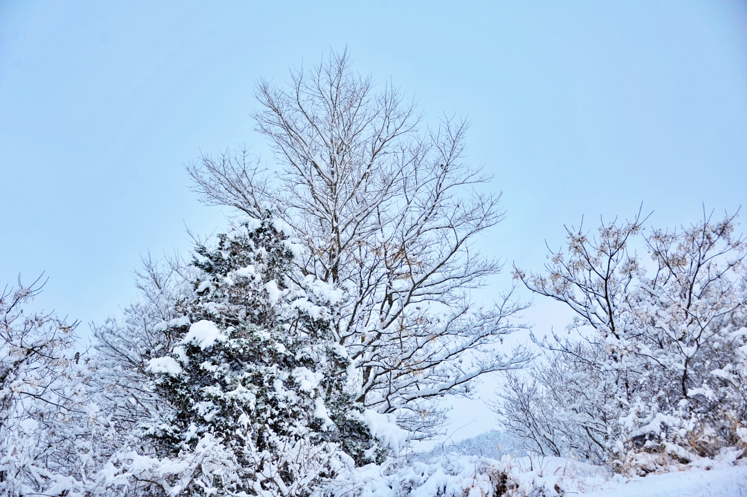 2022년 1월 대표 기도문 모음