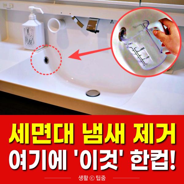 세면대 냄새 제거,팁줌