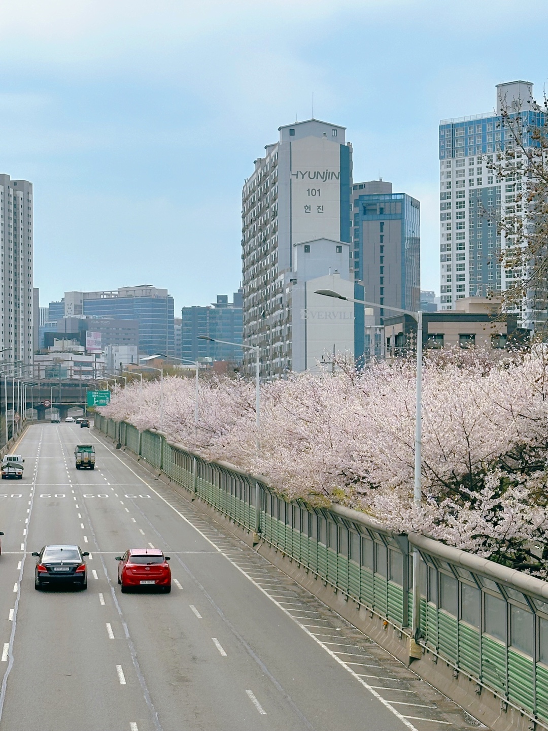 신대방역 벚꽃길