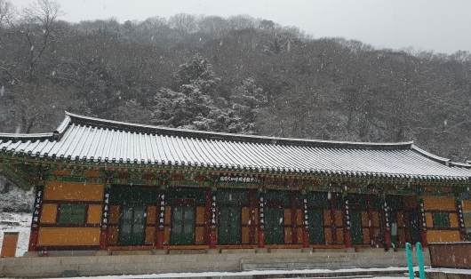 백양사 템플스테이 휴식형 체험형 프로그램, 예약 방법, 후기 총정리