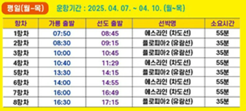 2025 신안 섬 수선화 축제 일정, 입장료, 여객선 시간표 총정리
