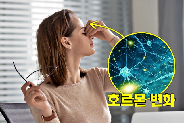 30대 여성 편두통, 건강 팁줌 매일꿀정보