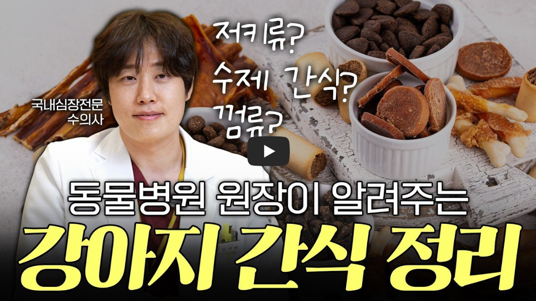 강아지 천연 간식의 배신? 돼지귀&middot;뼈 간식 급여 전 반드시 알아야 할 수의사 경고 및 안전 가이드