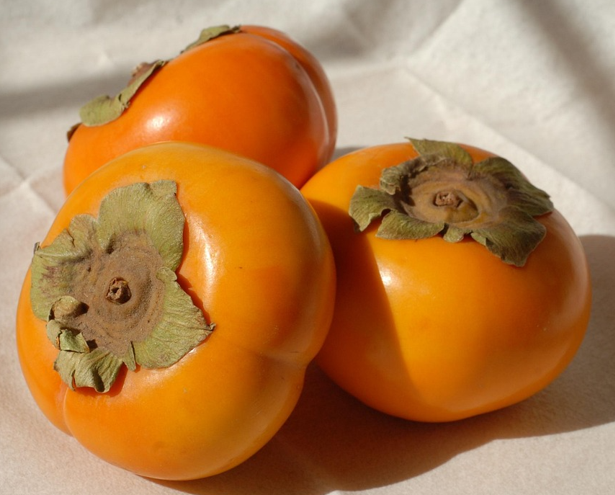 가을 대표 과일 감 사진