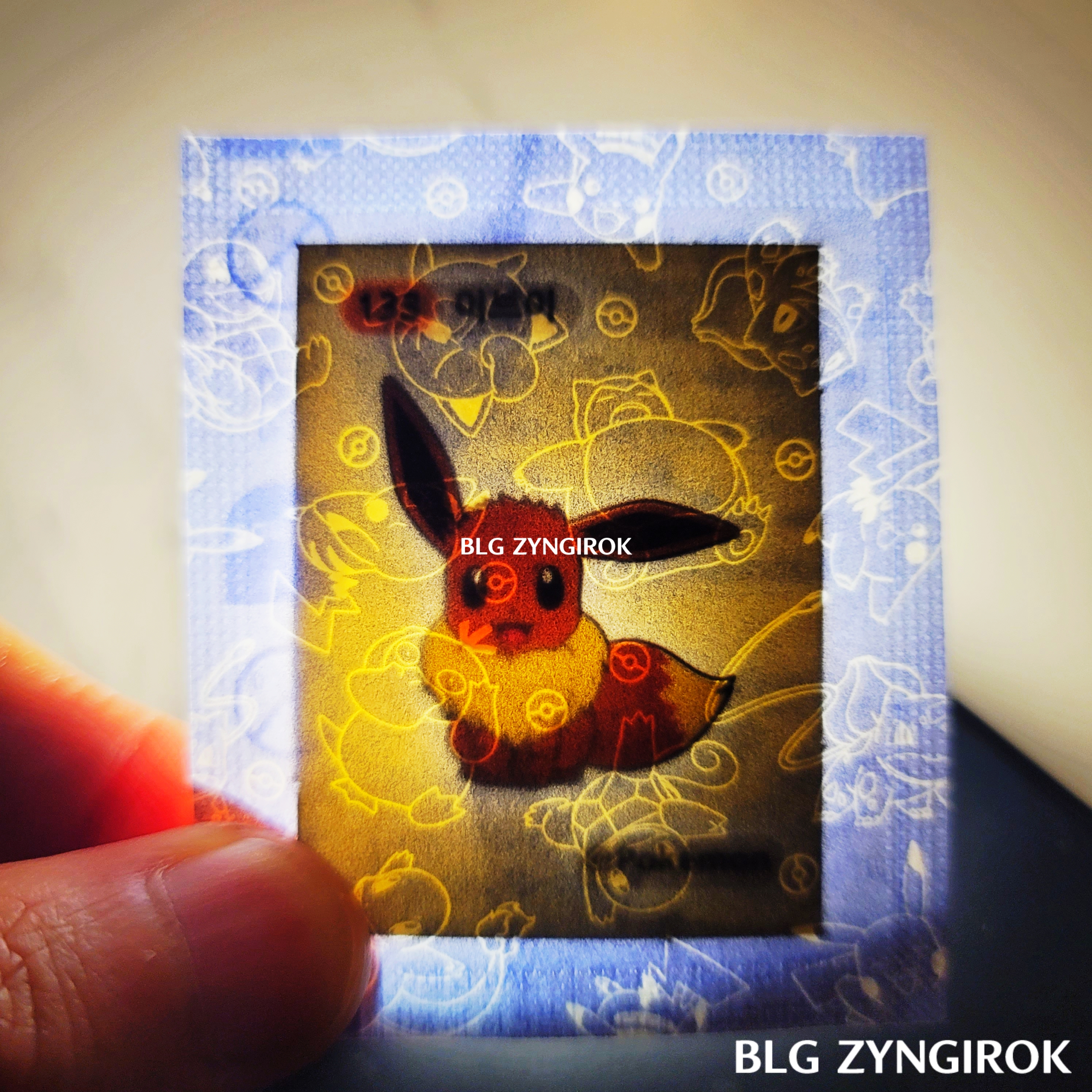 띠부띠부씰-이브이를-들고있다.