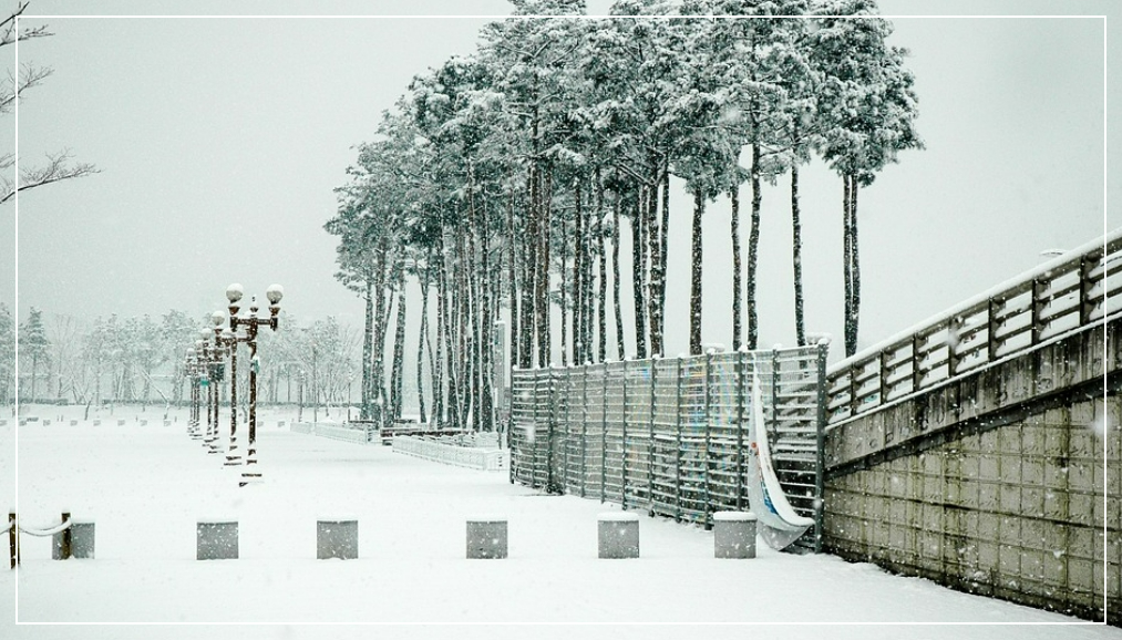 월드컵공원평화공원8M억새대형토끼