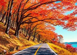 대청호반길 단풍 명소