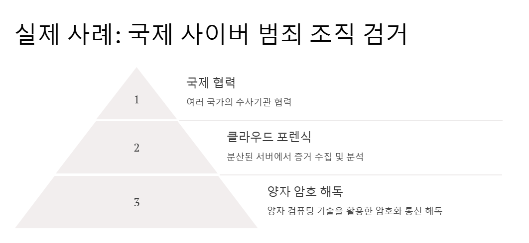 디지털 포렌식 실제 사례, 국제 사이버 범죄 조직 검거