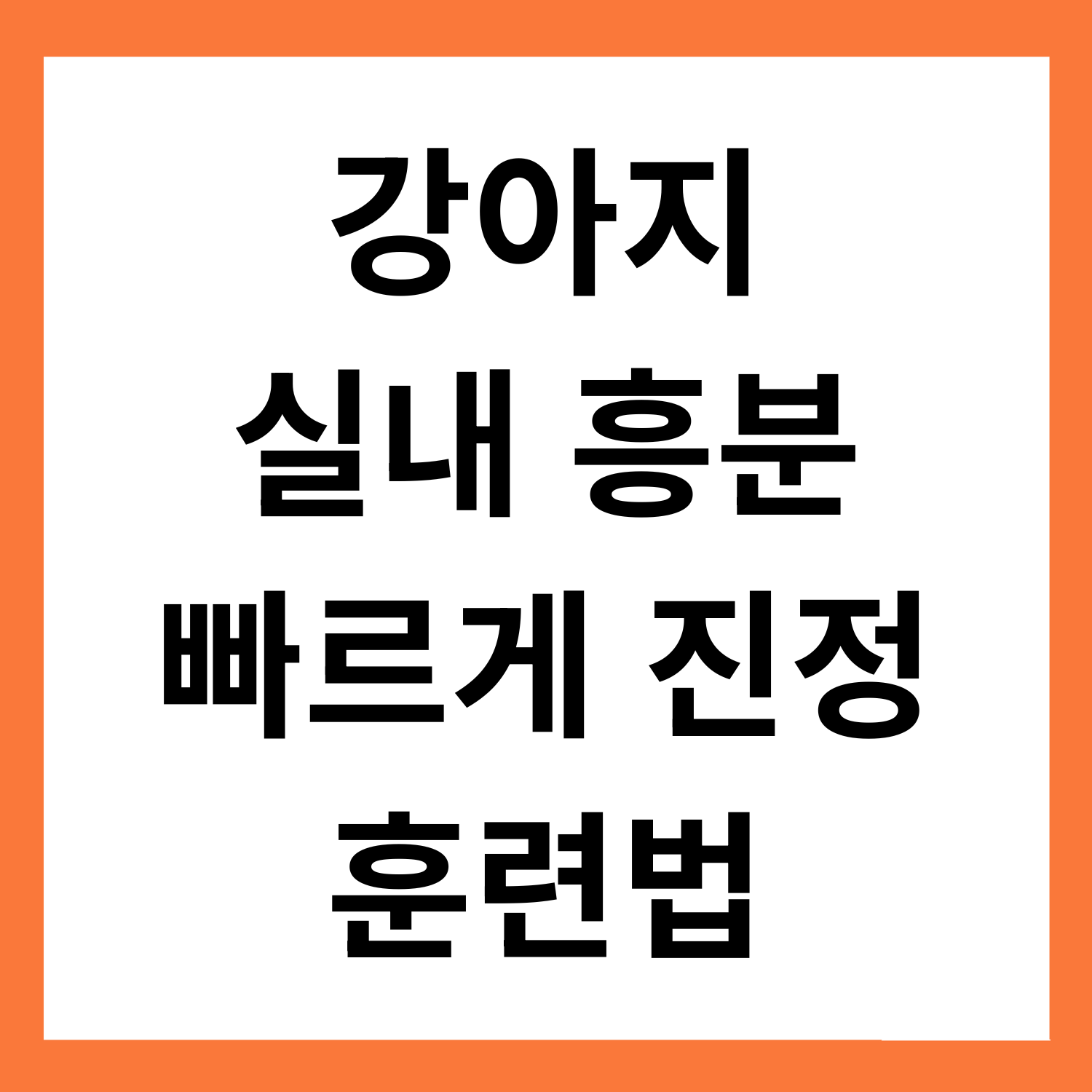 강아지 실내 흥분 진정법: 초단기 훈련법 정리