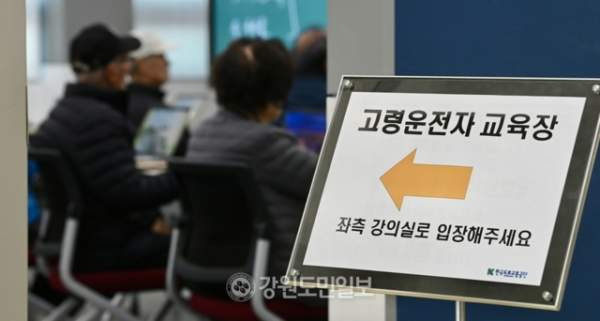 2025년 교통사고 통계 분석: 사고는 줄었지만 사망자가 늘어난 충격적인 이유 (고령자 대책 집중 분석)