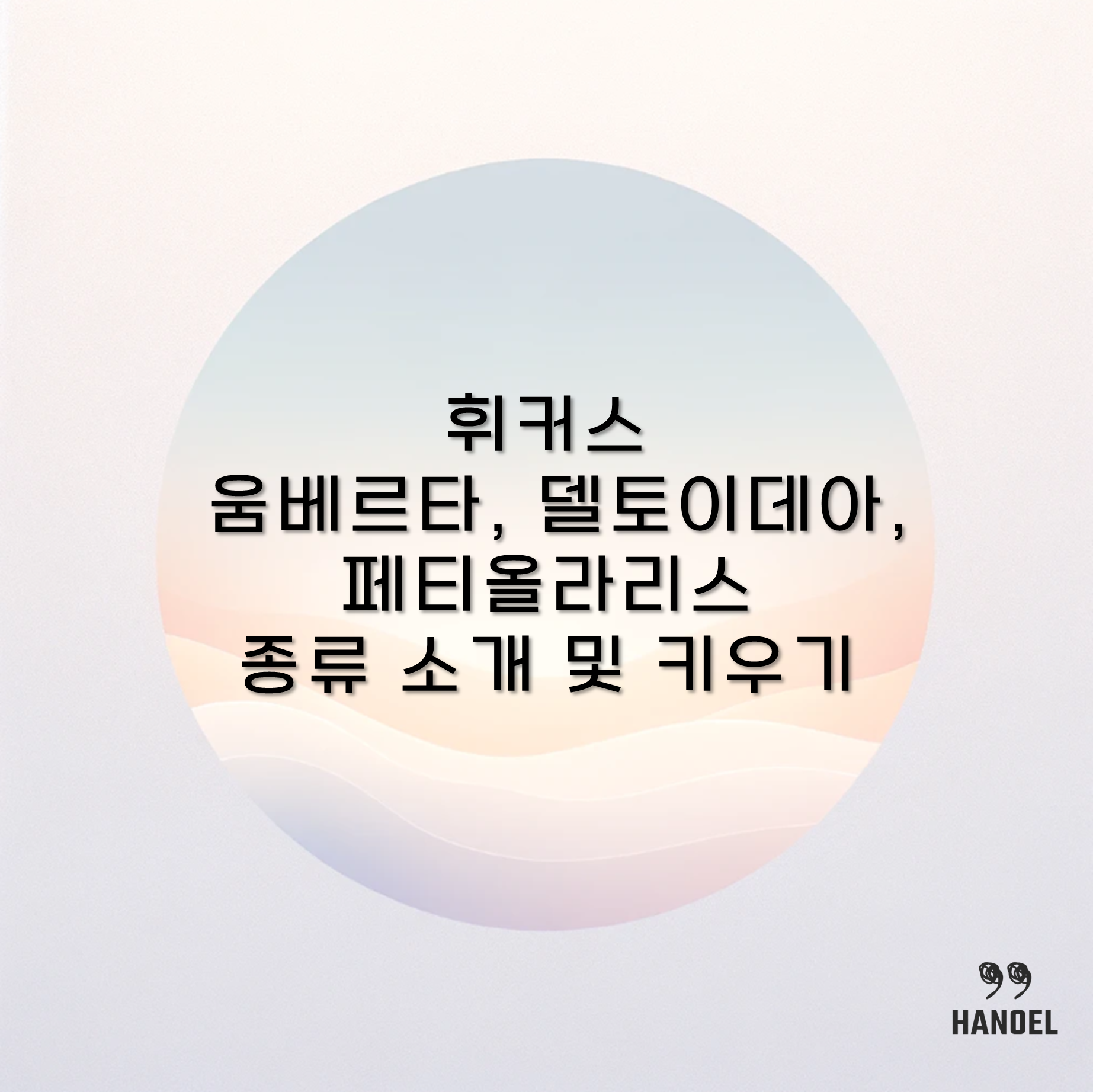 휘커스 움베르타, 델토이데아, 페티올라리스 종류 개 및 키우기 방법