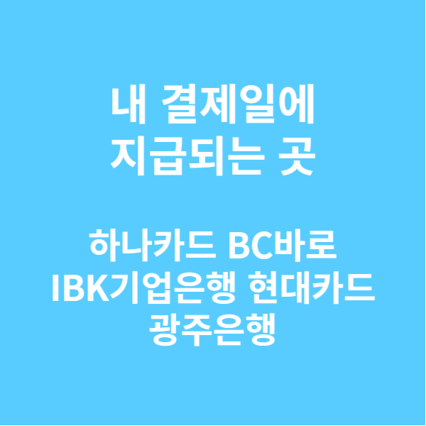 K패스 교통카드 소개 지급방식 페이 이용방법