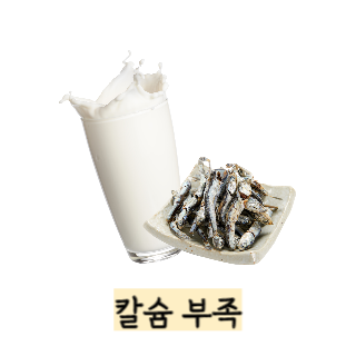 단백질-보충제