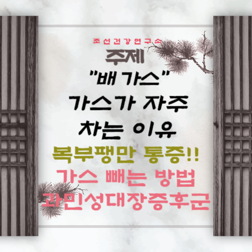 배에 가스가 자주 차는 이유 과민성대장증후군 복부팽만 통증 배에 가스 빼는 방법