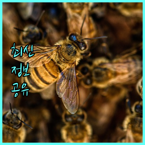 리프팅 시술 효과 200% 높이는 방