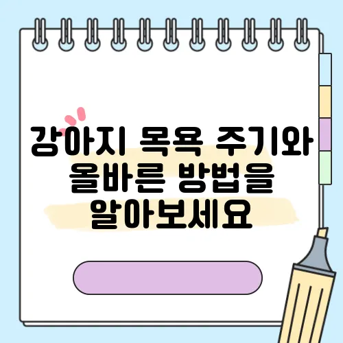 강아지 목욕 주기와 올바른 방법을 알아보세요