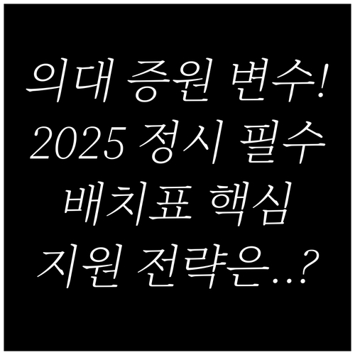 의대 증원 변수 2025 정시 배치표..