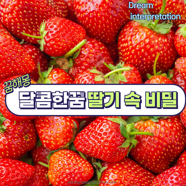 🍓🌼 봄날, 딸기 꿈이 전하는 의미는?