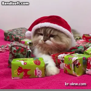 img.webp?credential=yqXZFxpELC7KVnFOS48ylbz2pIh7yKj8&expires=1767193199&allow_ip=&allow_referer=&signature=QyatJOnEgL4iPUyhAHxy4mS5yJg%3D