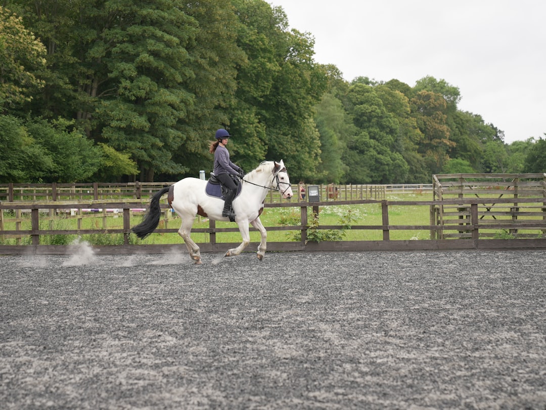 Trot