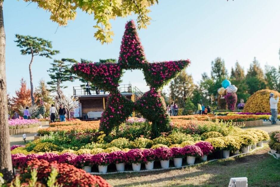 유성 국화축제 2025 유림공원 가을꽃축제