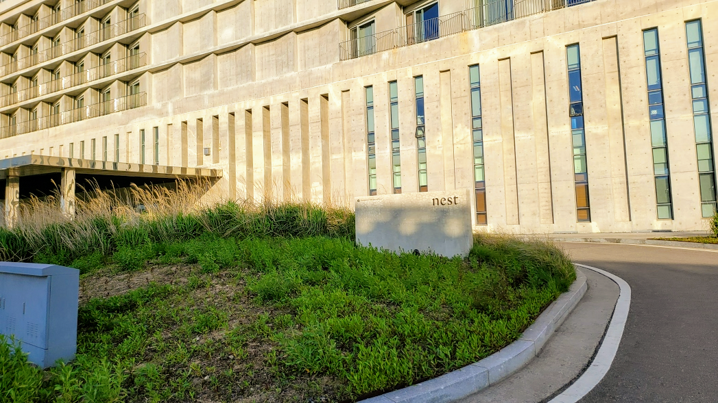 인천 네스트호텔 수영장 리뷰 사진 3