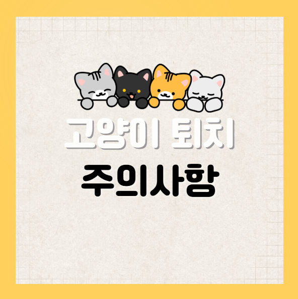 고양이 퇴치 주의사항