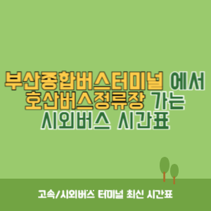 부산종합버스터미널에서 호산버스정류장 가는 시외버스 시간표 최신정보