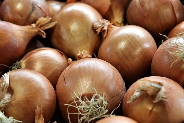 양파 껍질 음식물쓰레기