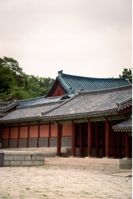 서울 사진