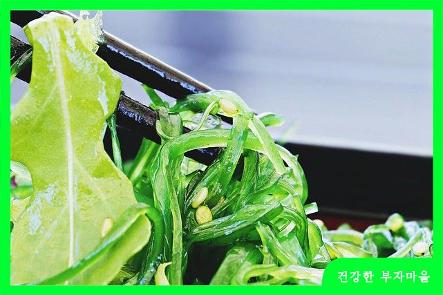 미역, 다시마와 같은 해조류에 들어있는 알긴산 성분은 콜레스테롤 수치 조절 기능