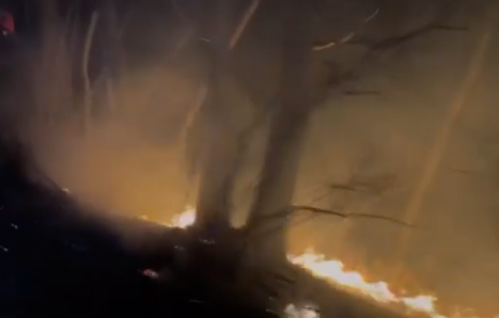 강원도 양양 산불