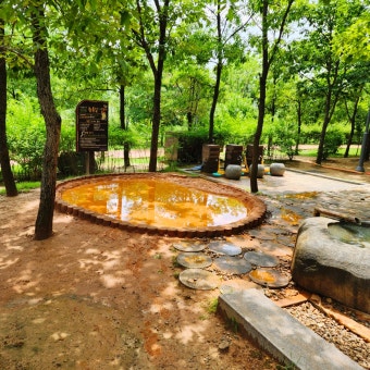 자연 속 힐링! 안동 천년숲 황토길 맨발걷기 체험 후기 관련 사진