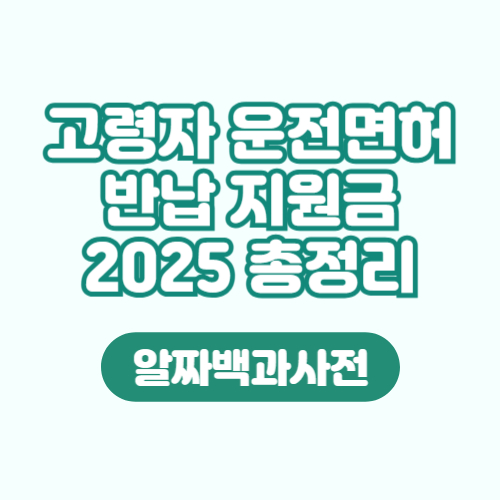 고령자 운전면허증 반납 조건 지원금 2025년 총정리