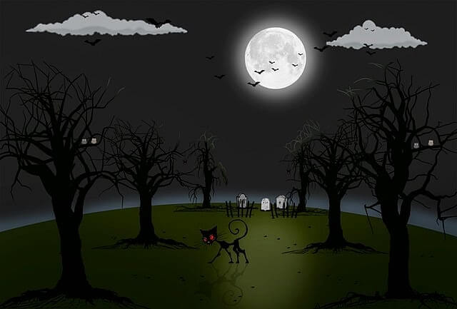 에버랜드 할로윈 기간